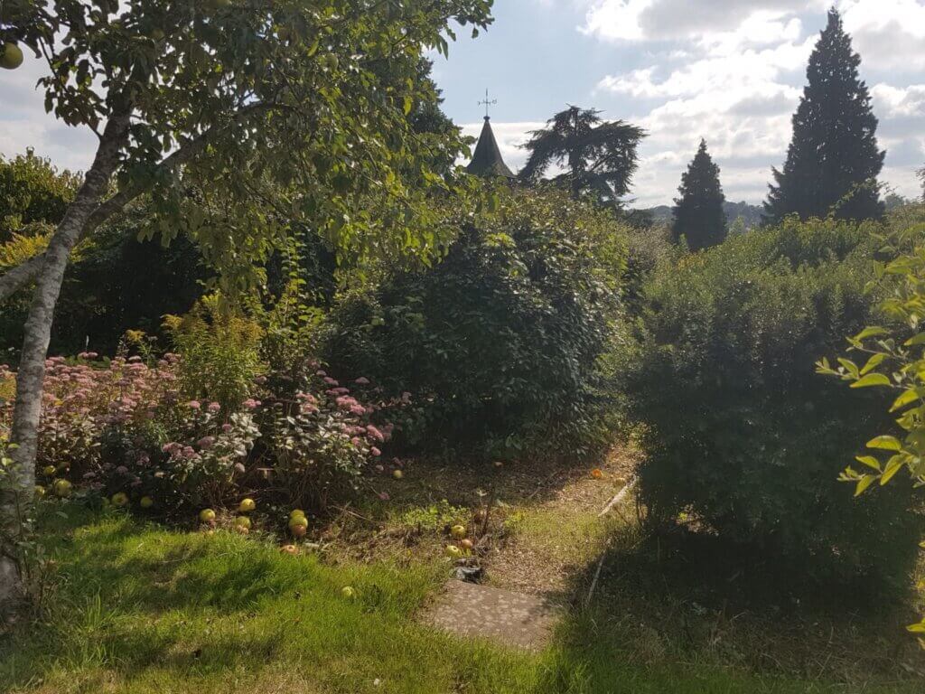 Pathway through bushes with church spire in the distance
