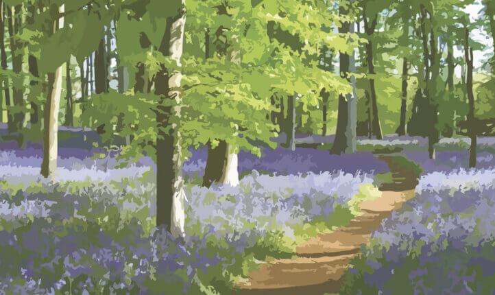 Painted bluebells in the wood